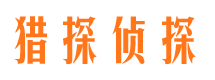 沧县市场调查